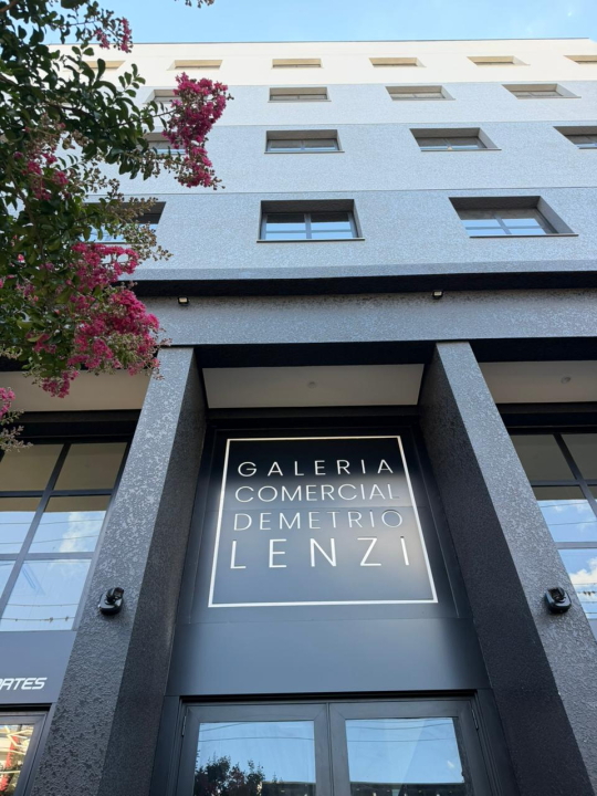 galeria comercial demetrio lenzi