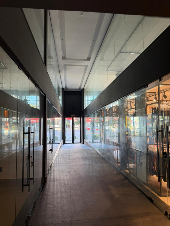 galeria comercial demetrio lenzi