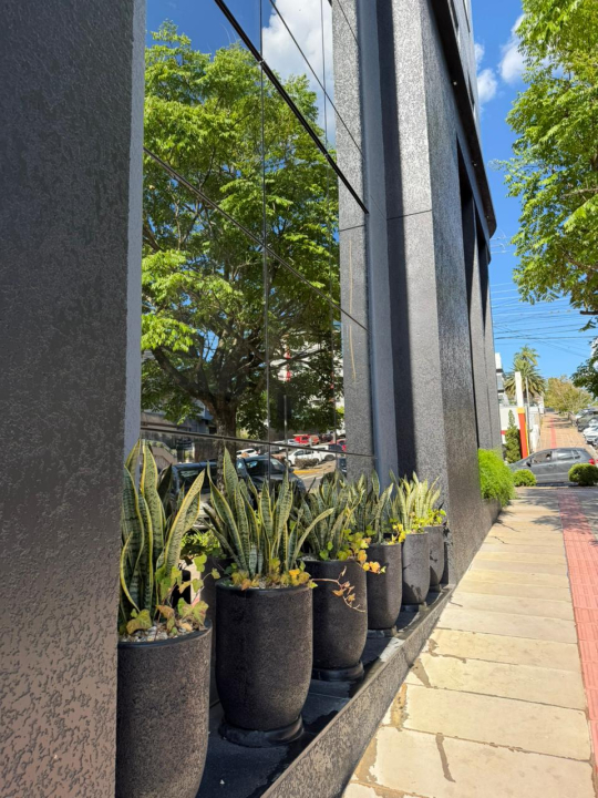 galeria comercial demetrio lenzi